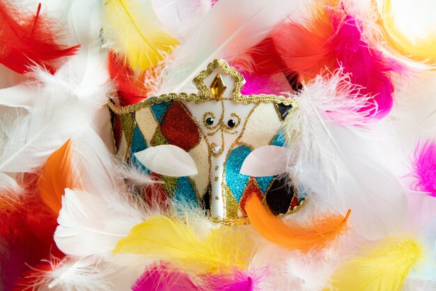 Vista frontal de una máscara de carnaval