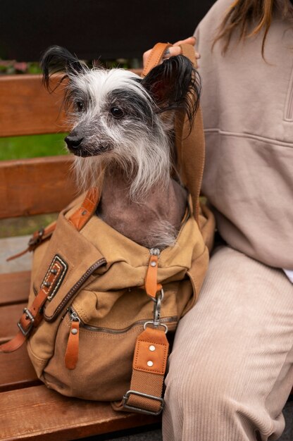 Vista frontal mujer con cachorro en bolsa