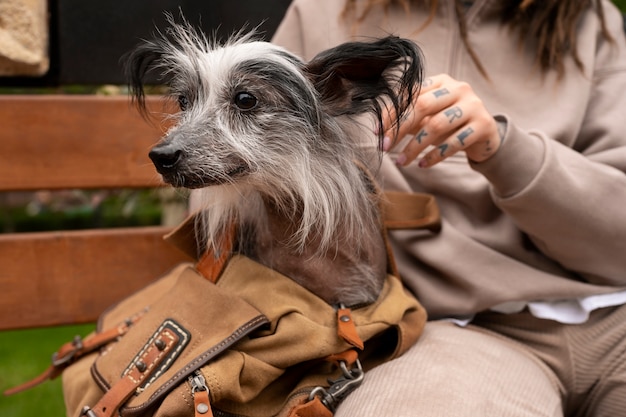 Foto gratuita vista frontal mujer con cachorro en bolsa