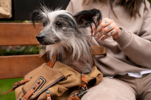 Vista frontal mujer con cachorro en bolsa