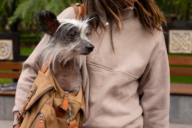 Foto gratuita vista frontal mujer con cachorro en bolsa