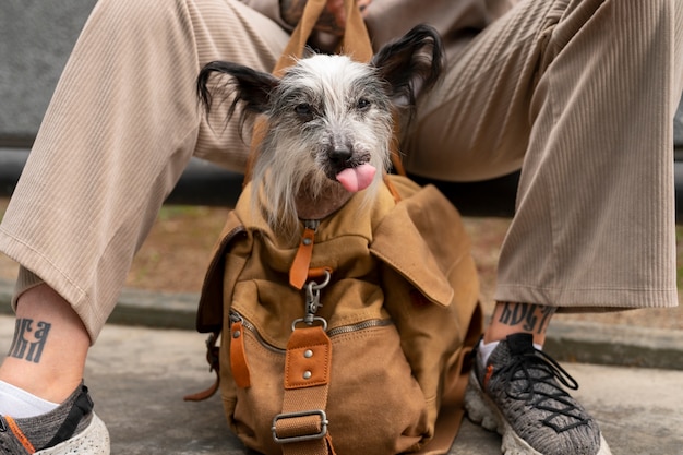 Foto gratuita vista frontal mujer con cachorro en bolsa