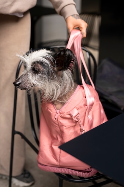 Foto gratuita vista frontal mujer con cachorro en bolsa