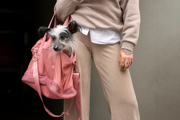 Vista frontal mujer con cachorro en bolsa