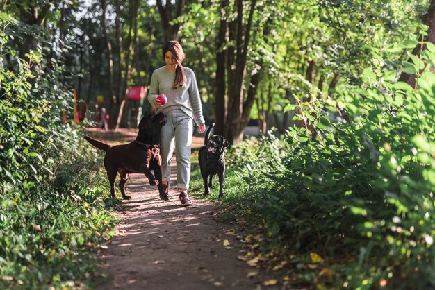 Vista frontal de una mujer caminando con sus dos labradores en sendero en el parque