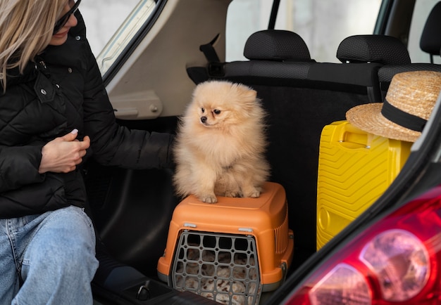 Foto gratuita vista frontal mujer en coche con perro