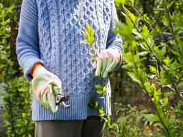 Foto gratuita vista frontal mujer cortando hojas de su jardín