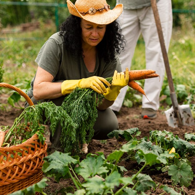 Vista frontal mujer cosechando zanahorias