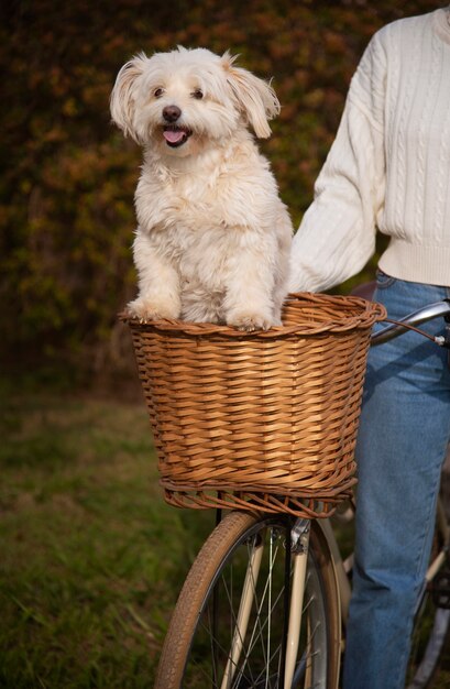 Vista frontal mujer con lindo perro