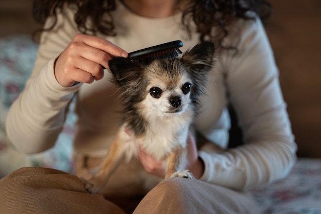 Foto gratuita vista frontal mujer con perro chihuahua