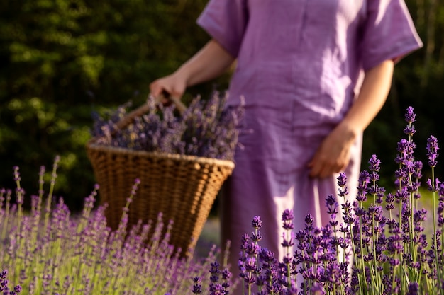 Vista frontal mujer sosteniendo cesta de lavanda