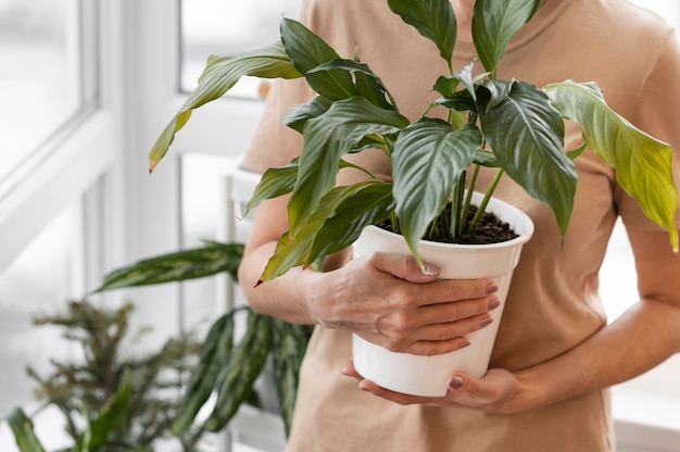 Vista frontal de la mujer sosteniendo una maceta de planta de interior