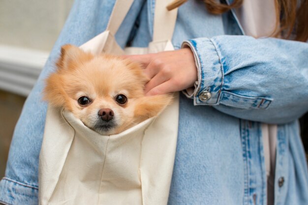 Vista frontal niña bolsa de transporte con perro