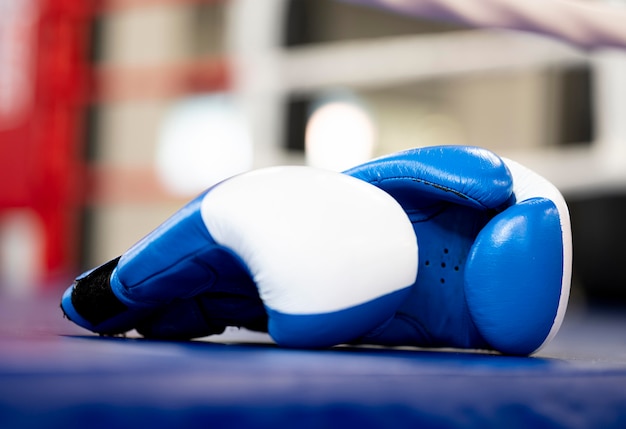 Vista frontal del par de guantes de boxeo