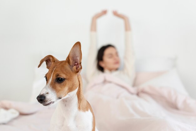 Vista frontal del perro con mujer desenfocada en la cama