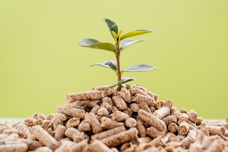 Foto gratuito vista frontal de la planta que crece a partir de pellets.
