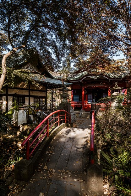 Vista frontal del puente con templo japonés