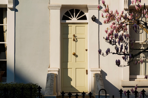 Vista frontal de la puerta principal con pared beige y plantas.