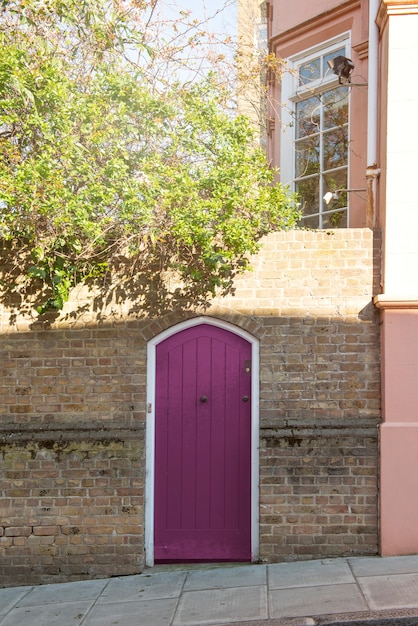 Vista frontal de la puerta principal con pared marrón y árbol.