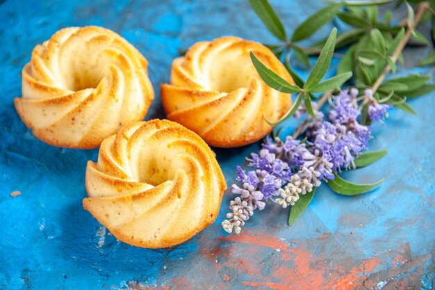 Vista frontal de la rama de la flor morada galletas en el cuadro azul