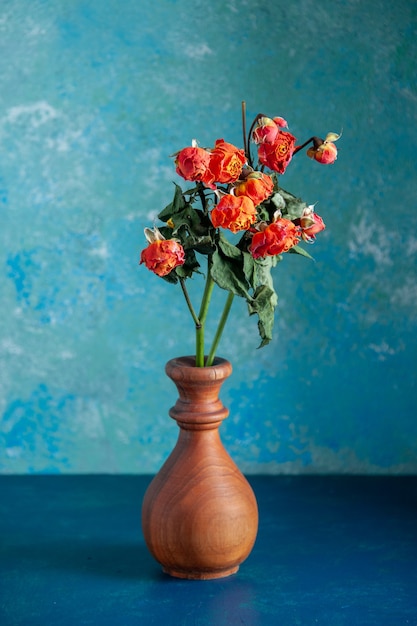 Vista frontal rojo flores marchitas dentro del jarrón sobre superficie azul