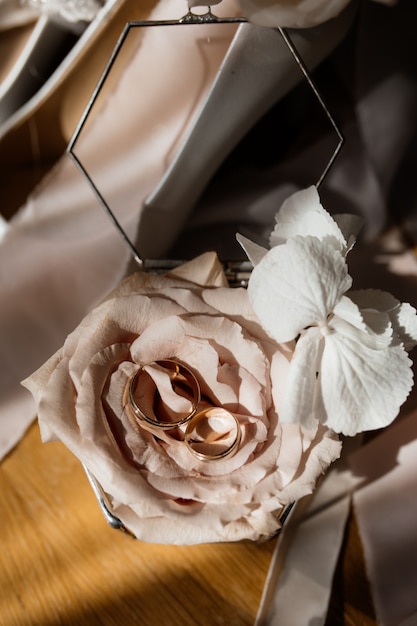 Vista frontal de una rosa rosa tenue en los rayos soleados y preciosos anillos de boda