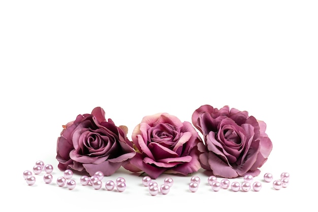 Una vista frontal de rosas marchitas de color púrpura sobre un escritorio blanco, imagen en color de plantas de flores