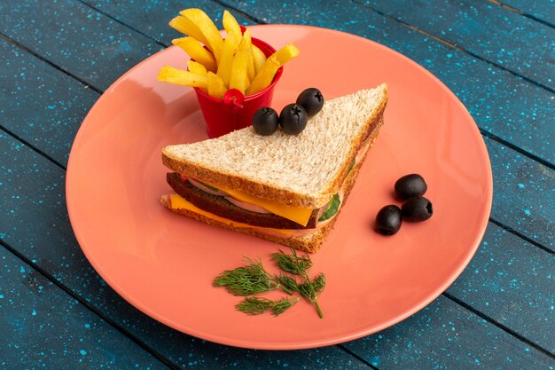 Vista frontal sabroso sándwich con tomates jamón de oliva dentro de la placa rosa con papas fritas en madera azul