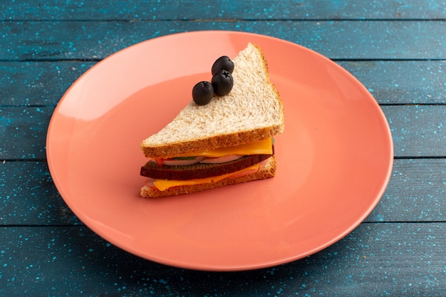Foto gratuita vista frontal sabroso sándwich con tomates jamón oliva dentro de la placa rosa sobre azul