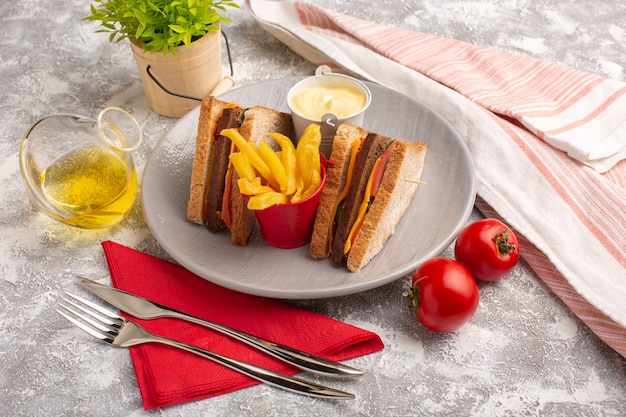 Vista frontal sabrosos sándwiches de tostadas con jamón de queso dentro de la placa con papas fritas crema agria y aceite en blanco