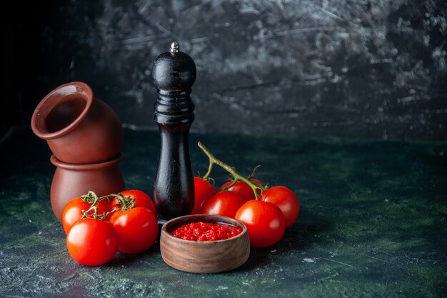 Vista frontal de la salsa de tomate con tomates rojos frescos en la superficie oscura de los colores rojos de tomate condimento sal pimienta