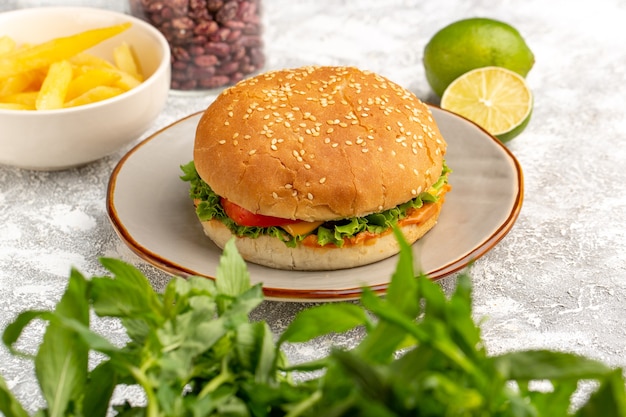 Foto gratuita vista frontal del sándwich de pollo con ensalada verde y verduras dentro con papas fritas, frijoles y limón en el escritorio blanco