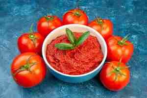 Foto gratuita vista frontal de tomates frescos con pasta de tomate en ensalada azul árbol rojo color vegetal alimentos maduros