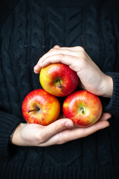 Vista frontal de tres manzanas rojas maduras en manos de mujer