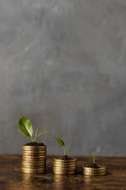 Vista frontal de tres pilas de monedas con plantas y espacio de copia