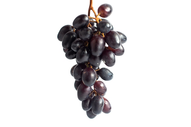 Vista frontal de las uvas jugosas frescas meloso ed negro sobre el fondo blanco.