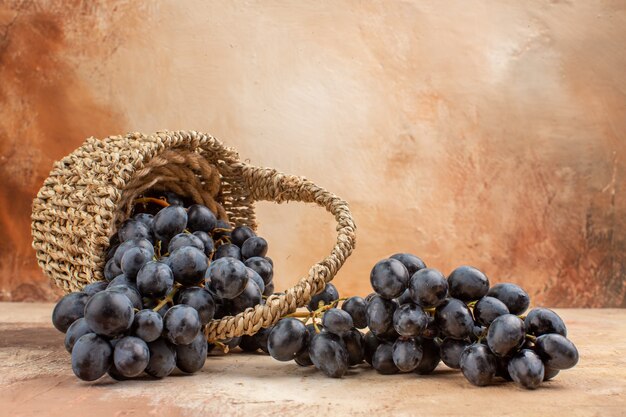 Vista frontal uvas negras frescas dentro de la canasta sobre el fondo claro vino de fruta madura suave