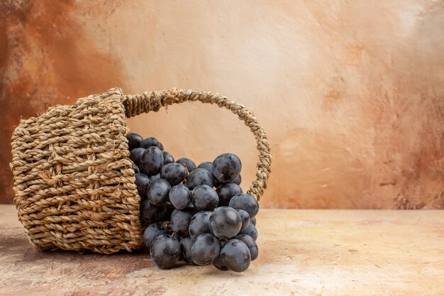 Vista frontal uvas negras frescas dentro de la canasta sobre un fondo claro vino de frutas maduras suaves