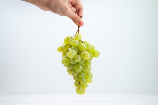 Vista frontal de las uvas verdes frescas en manos femeninas sobre la superficie blanca clara, vino de frutas, jugo suave fresco