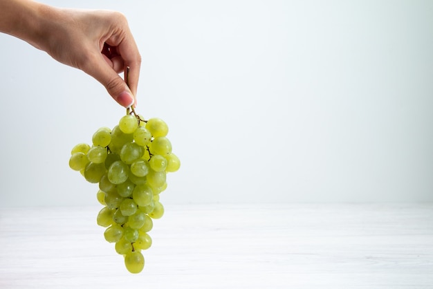 Vista frontal de uvas verdes frescas en manos femeninas sobre la superficie blanca fruta vino jugo fresco suave