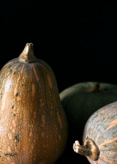 Vista frontal de varias calabazas de otoño