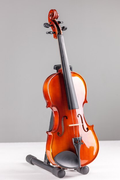 Vista frontal del violín en gris