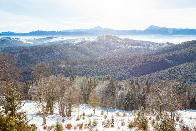 Vista de hermosas montañas nevadas, bosques