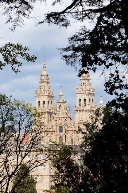 Foto gratuita vista histórica de la catedral con ramos de árboles