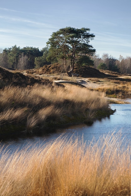 La vista horizontal de los alrededores del lago en Zeist, Holanda en otoño