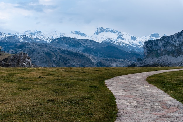 La vista horizontal de las montañas rocosas cubiertas de nieve con césped y una carretera en primer plano