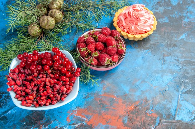 Vista inferior de frambuesas frescas, grosellas y agracejo en tazones de fuente ramas de pino tarta pequeña en la mesa azul espacio libre