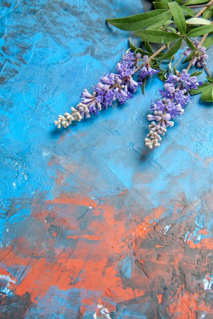 Vista inferior de la rama de flor morada en la mesa azul con espacio libre