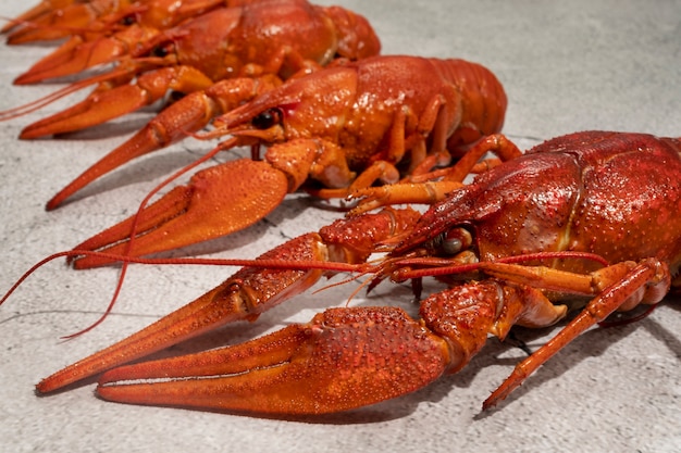 Foto gratuita vista de langostinos cocidos y listos para comer