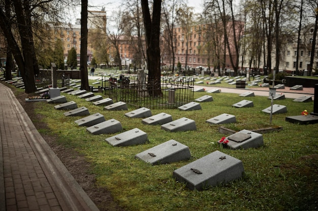 Vista de lápidas en el cementerio